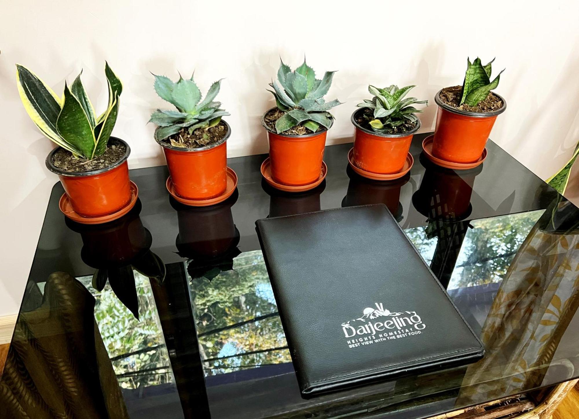 Darjeeling Heights - A Boutique Mountain View Homestay Стая снимка